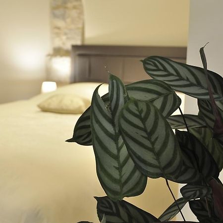 Villa Stagnja Split Kültér fotó