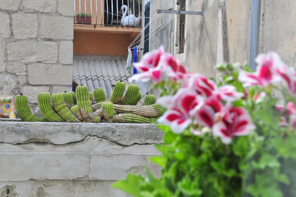 Villa Stagnja Split Szoba fotó